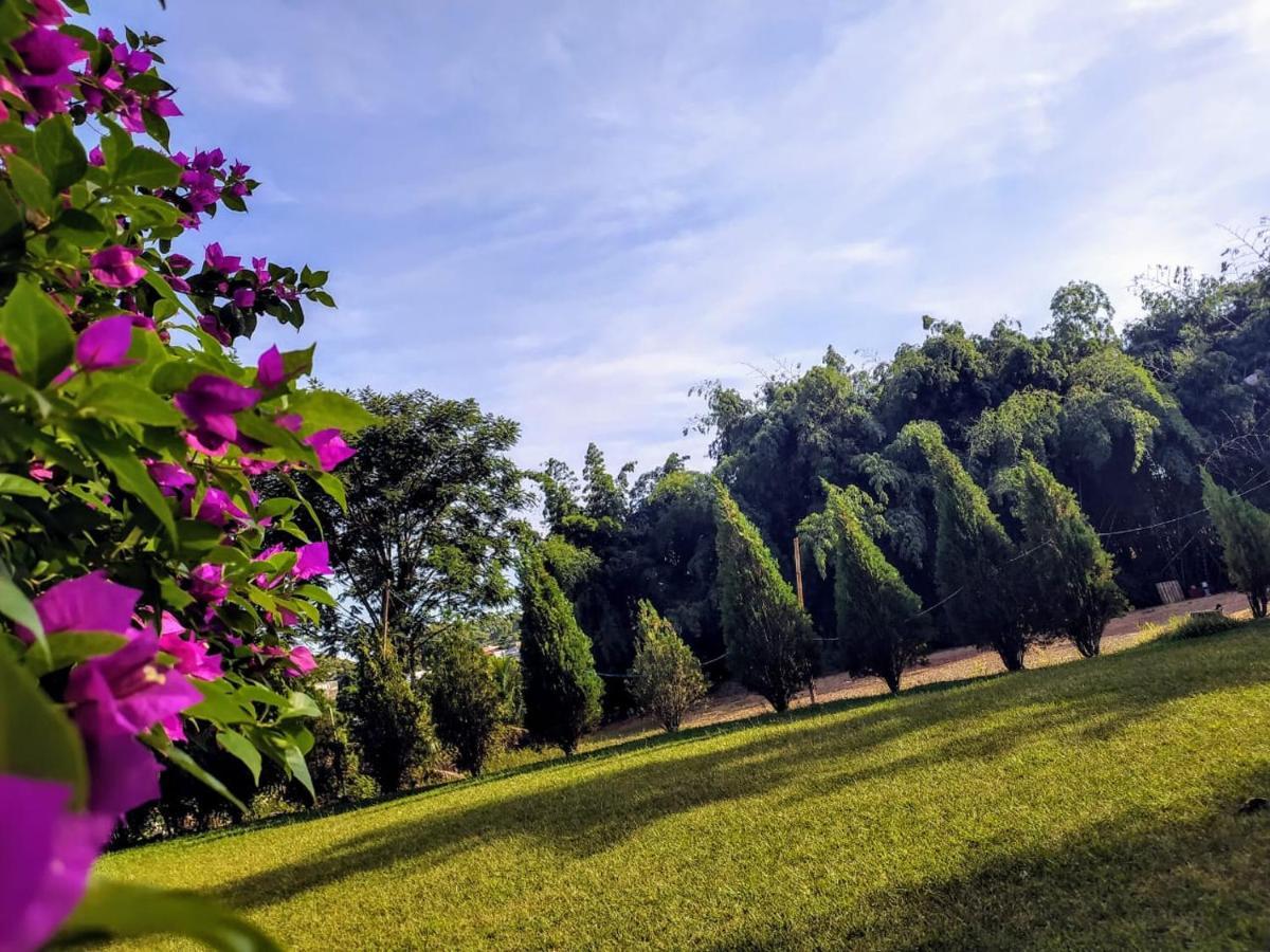 פוז דו איגואסו Velinn Hotel Natureza Foz מראה חיצוני תמונה