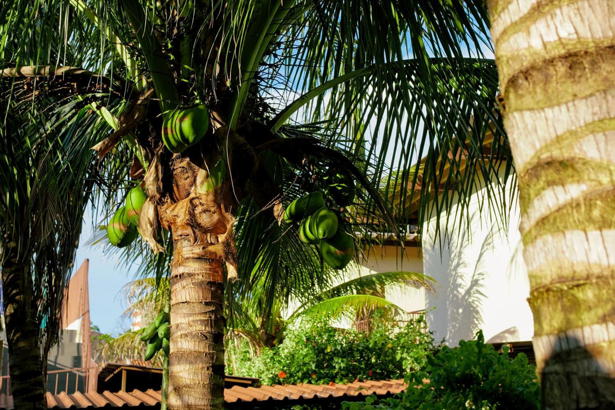 פוז דו איגואסו Velinn Hotel Natureza Foz מראה חיצוני תמונה